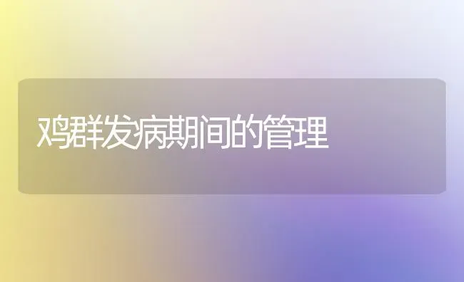 鸡群发病期间的管理 | 家禽养殖