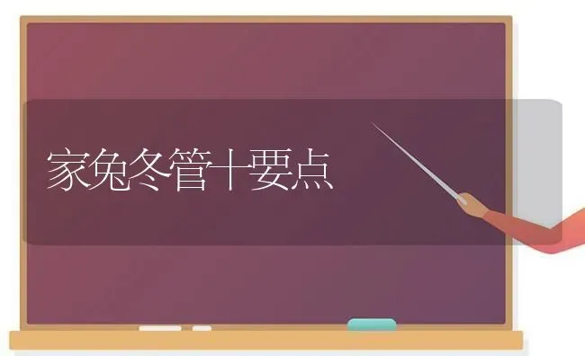 家兔冬管十要点 | 家畜养殖