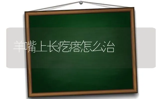 羊嘴上长疙瘩怎么治 | 家畜养殖