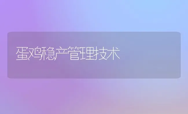 蛋鸡稳产管理技术 | 家禽养殖