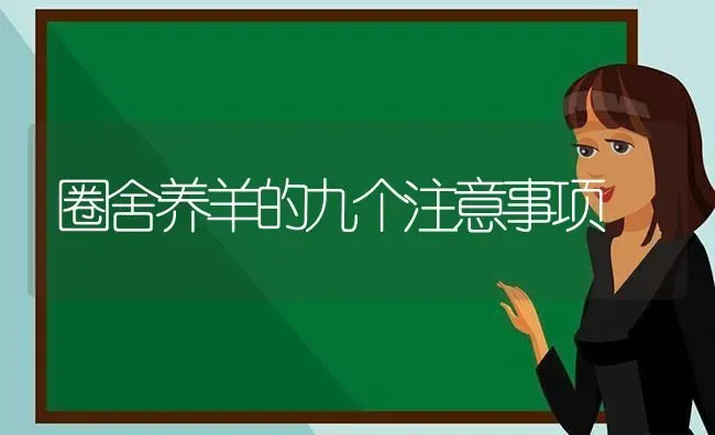 圈舍养羊的九个注意事项 | 家畜养殖