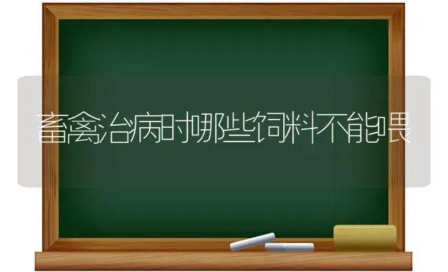 畜禽治病时哪些饲料不能喂 | 动物养殖饲料