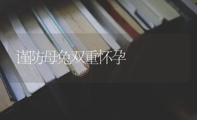 谨防母兔双重怀孕 | 家畜养殖