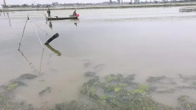 关于后期有可能出现的螃蟹掉膘、趴塘情况的总结分析