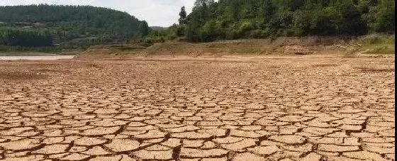 饲料、底泥、水质与水产病害的防控关系