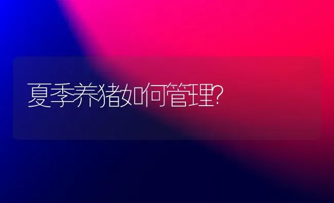 夏季养猪如何管理？ | 家畜养殖