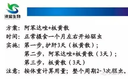 泱盛生物技术总监赵宇江详解网箱黄鳝养殖“十二式”