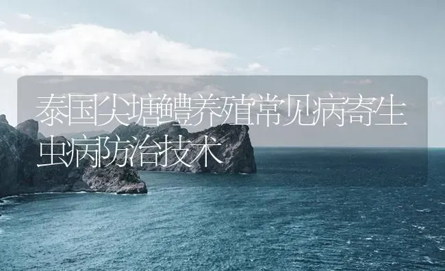 泰国尖塘鳢养殖常见病寄生虫病防治技术 | 养殖病虫害防治