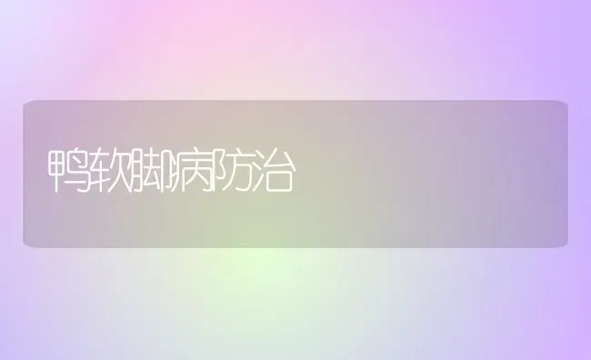 鸭软脚病防治 | 家禽养殖