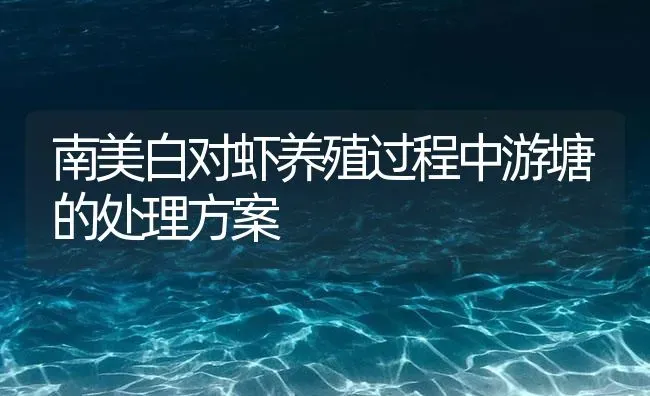 南美白对虾养殖过程中游塘的处理方案 | 海水养殖