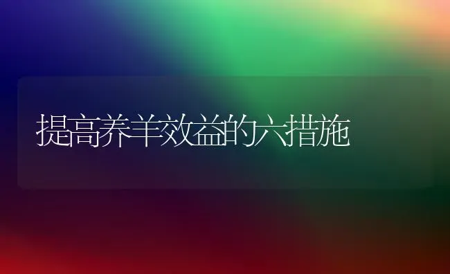 提高养羊效益的六措施 | 家畜养殖