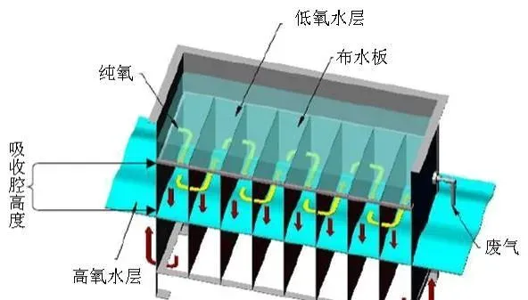 农业农村部2019农业主推技术：淡水工厂化循环水健康养殖技术