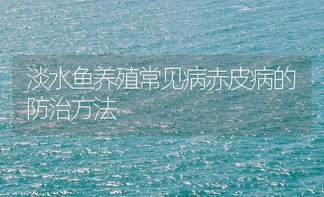 淡水鱼养殖常见病赤皮病的防治方法 | 养殖病虫害防治