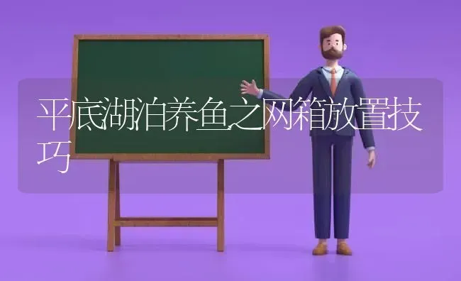 平底湖泊养鱼之网箱放置技巧 | 动物养殖百科