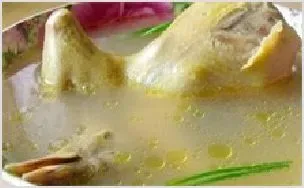 鸽子的做法 | 养殖动物技术