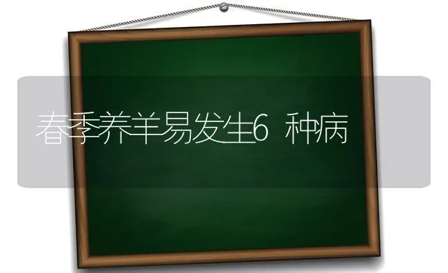 春季养羊易发生6种病 | 家畜养殖