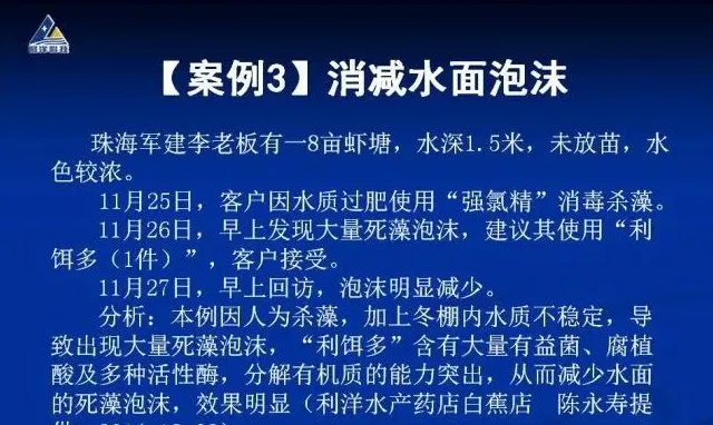 南美白对虾养殖户消减水面泡沫经验分享