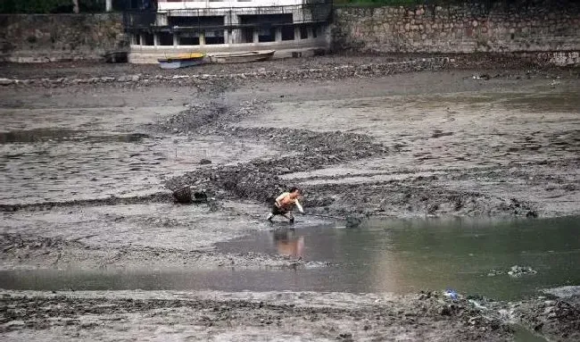 饲料、底泥、水质与水产病害的防控关系