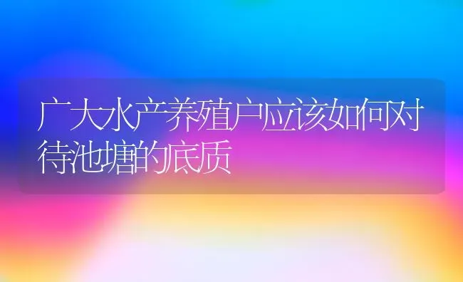 广大水产养殖户应该如何对待池塘的底质 | 动物养殖百科