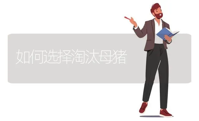 如何选择淘汰母猪 | 家畜养殖