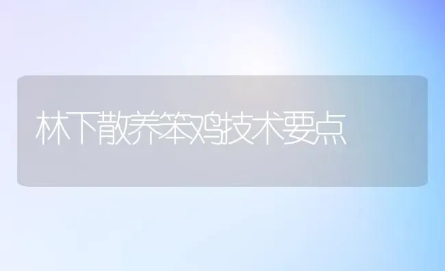 林下散养笨鸡技术要点 | 家禽养殖