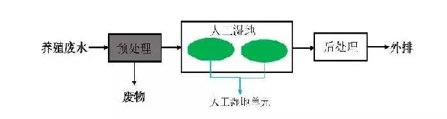 如何进行人工湿地规划设计？其技术要点有哪些？