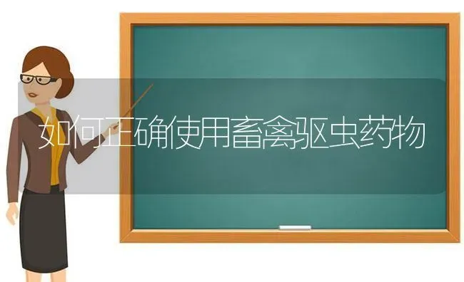 如何正确使用畜禽驱虫药物 | 养殖病虫害防治