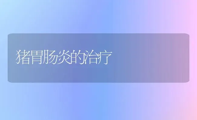猪胃肠炎的治疗 | 家畜养殖