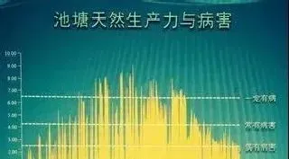 饲料、底泥、水质与水产病害的防控关系