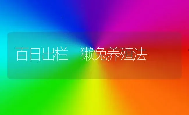 百日出栏 獭兔养殖法 | 家畜养殖