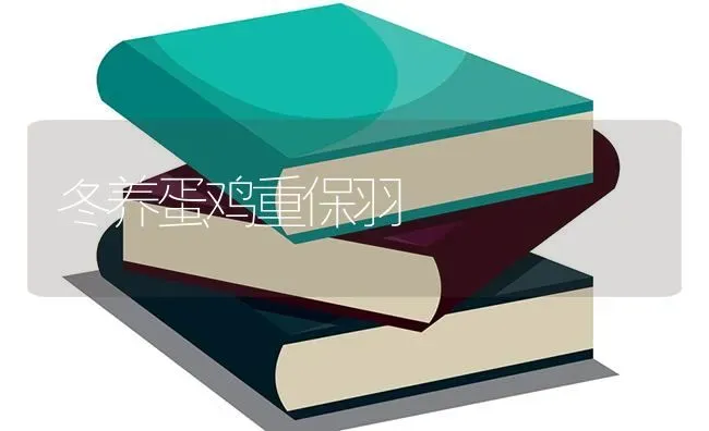 冬养蛋鸡重保羽 | 家禽养殖