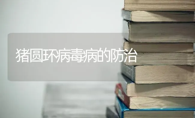猪圆环病毒病的防治 | 家畜养殖