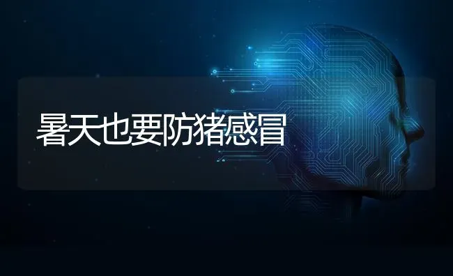 暑天也要防猪感冒 | 家畜养殖