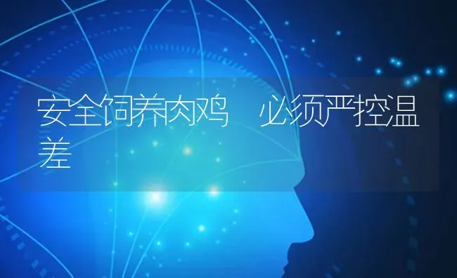 安全饲养肉鸡 必须严控温差 | 家禽养殖