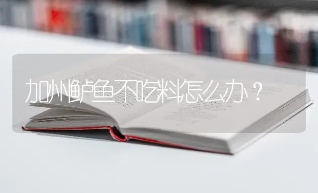 加州鲈鱼不吃料怎么办？ | 淡水养殖