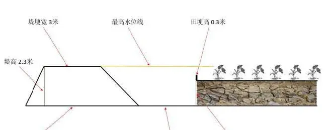 新型“稻虾共作”模式技术，可使贱卖小龙虾价格直升5倍多，产量还能扩大3倍