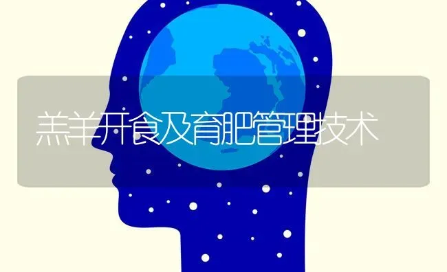 羔羊开食及育肥管理技术 | 家畜养殖