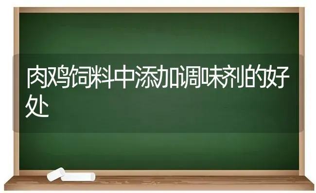 肉鸡饲料中添加调味剂的好处 | 家禽养殖