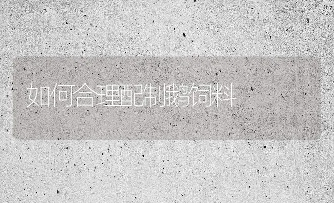 如何合理配制鹅饲料 | 家禽养殖