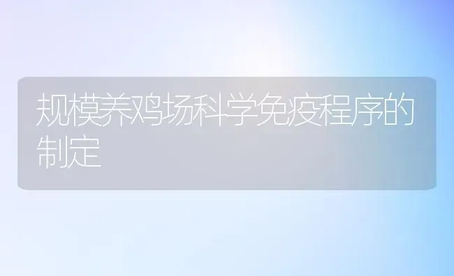 规模养鸡场科学免疫程序的制定 | 家禽养殖