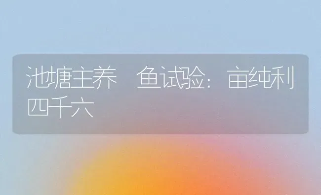 池塘主养鳡鱼试验：亩纯利四千六 | 特种养殖