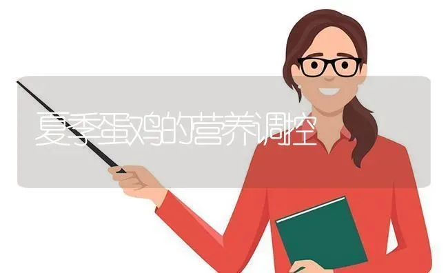 夏季蛋鸡的营养调控 | 家禽养殖