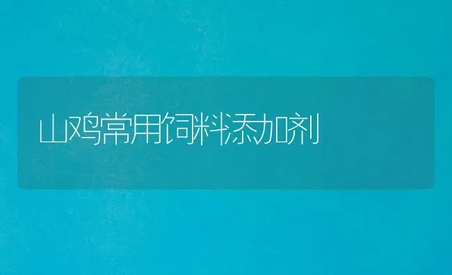 山鸡常用饲料添加剂 | 家禽养殖