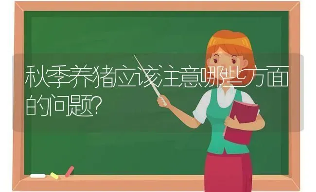 秋季养猪应该注意哪些方面的问题？ | 家畜养殖