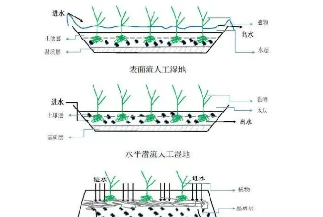 如何进行人工湿地规划设计？其技术要点有哪些？