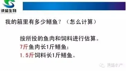 泱盛生物技术总监赵宇江详解网箱黄鳝养殖“十二式”