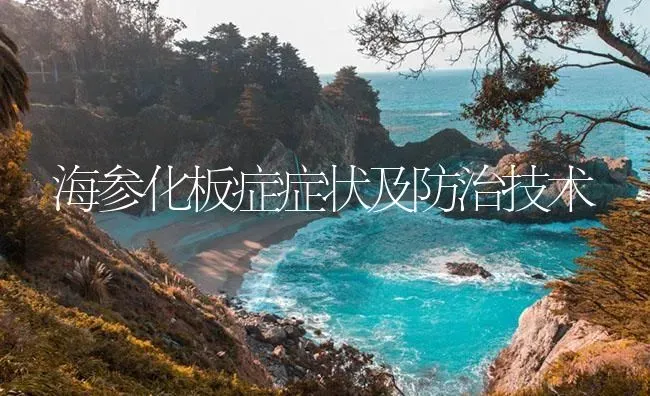 海参化板症症状及防治技术 | 养殖病虫害防治