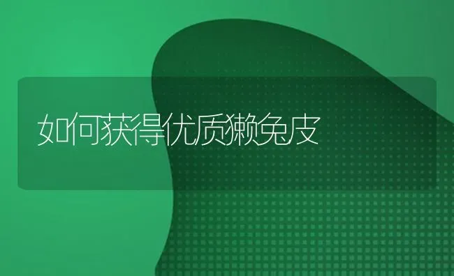 如何获得优质獭兔皮 | 家畜养殖