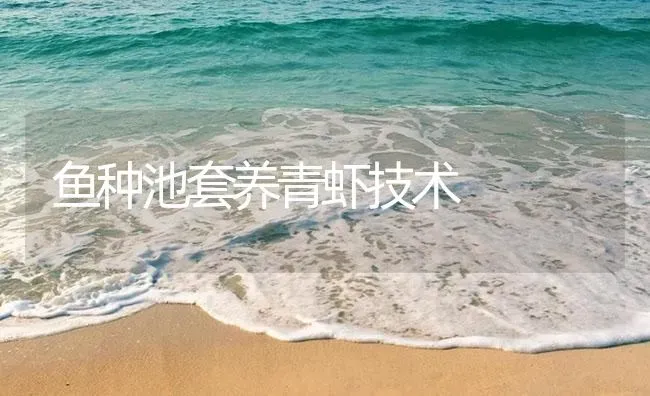 鱼种池套养青虾技术 | 海水养殖