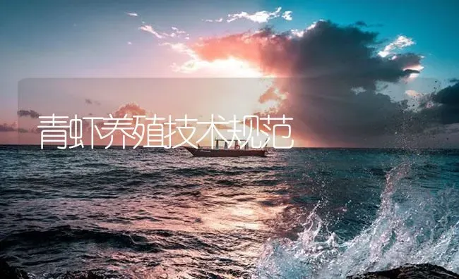 青虾养殖技术规范 | 海水养殖